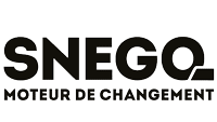 logo SNEGQ